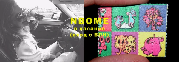трава Белокуриха