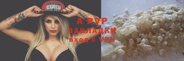 трава Белокуриха