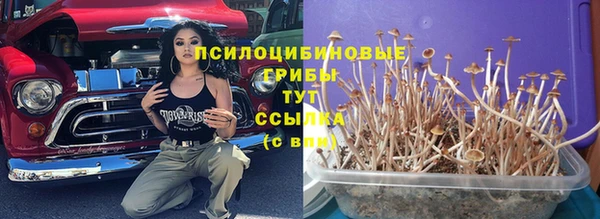 трава Беломорск