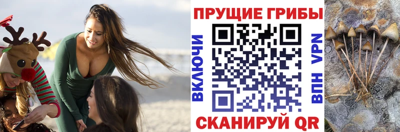 Галлюциногенные грибы Magic Shrooms Называевск